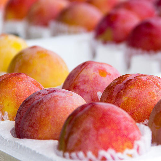 大红袍蜜李 商品图1