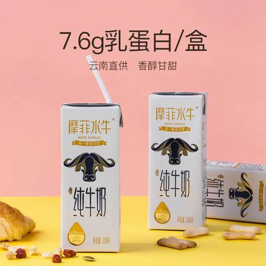 【家家常备】【喝更好的牛奶】 摩菲水牛纯牛奶206g*10盒来自大理海拔2000多米天然牧场 不加糖不加水 全脂牛奶 （全家人长期喝，建议囤5箱起） 商品图5