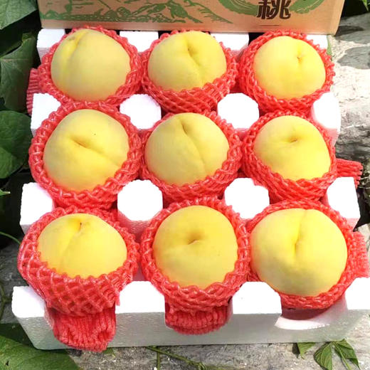 蒙阴黄锦绣黄桃5斤（外皮似锦绣、果汁甜如蜜） 商品图2