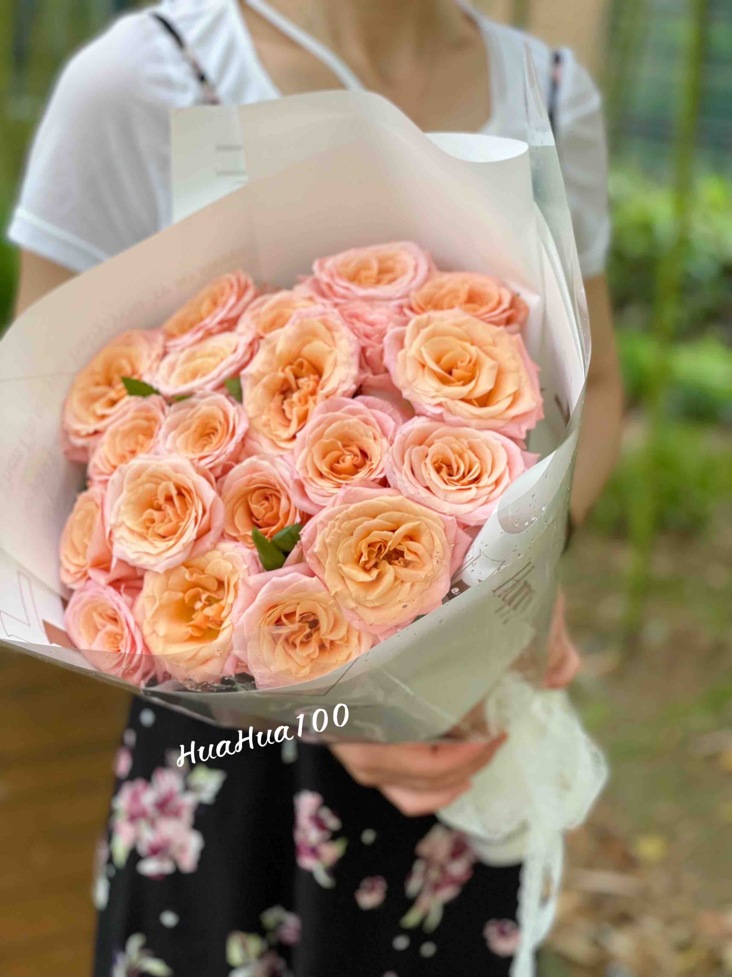 爱的物语丨19朵微光玫瑰
