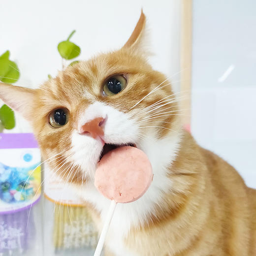 朗诺 棒棒糖系列 猫零食14g（10支/袋） 商品图13