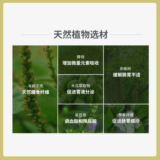 美国 绿十字 Vet's Best  猫草片60片 商品图3