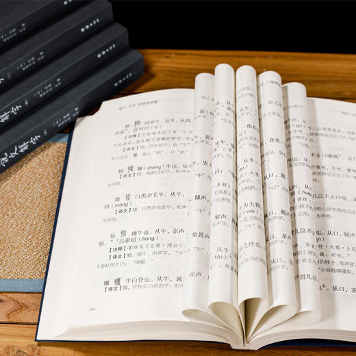 《说文解字》（全五册）全本全注全译 商品图2