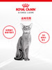 皇家 处方猫粮 GIM35 肠道(能量适中) 1.5kg 成猫用 商品缩略图2