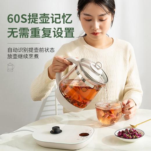 邻鹿养生壶LR017家用办公室多功能小型煮茶器玻璃烧水壶 商品图1