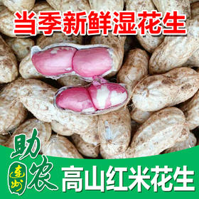 连州高山红米花生（嫩滑无渣，清甜可口）