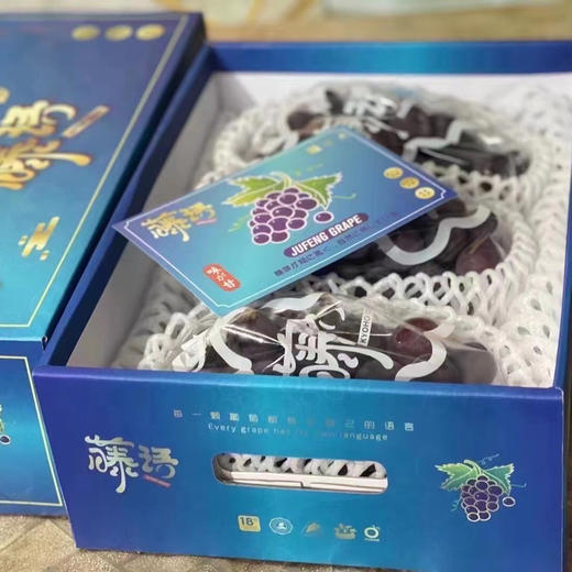 推荐这款好吃的藤语葡萄，连挑剔的女儿都说“这个葡萄太好吃了！甜炸🍇无敌暴力甜，个头大，掉粒少，就是典型的巨峰葡萄口感，皮和肉很容易分离，味道很浓‼️ 商品图7