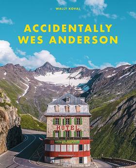 现货 偶遇韦斯安德森 英文原版 Accidentally Wes Anderson 布达佩斯大饭店 犬之岛 导演 风景摄影 精装