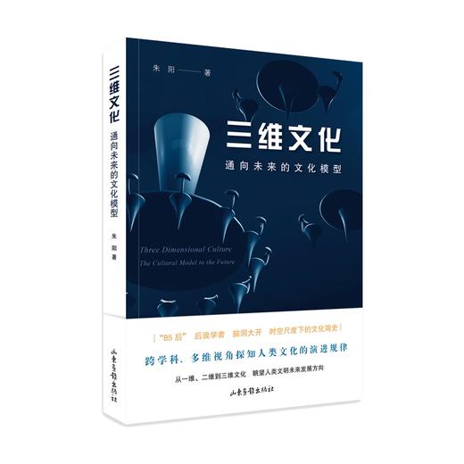 三维文化;通向未来的文化模型 商品图0
