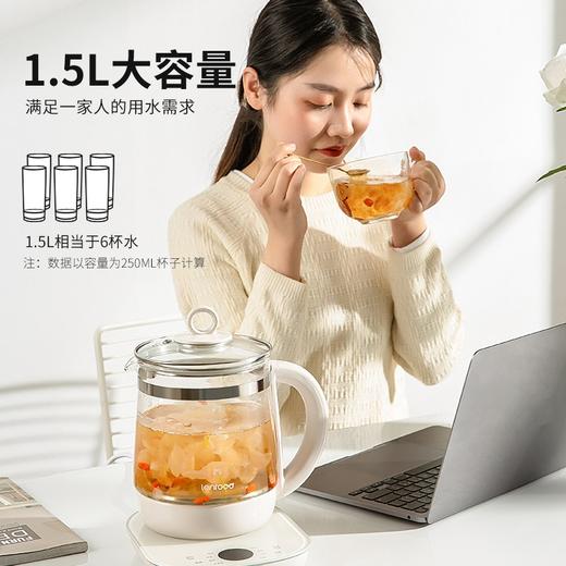 邻鹿养生壶LR017家用办公室多功能小型煮茶器玻璃烧水壶 商品图2