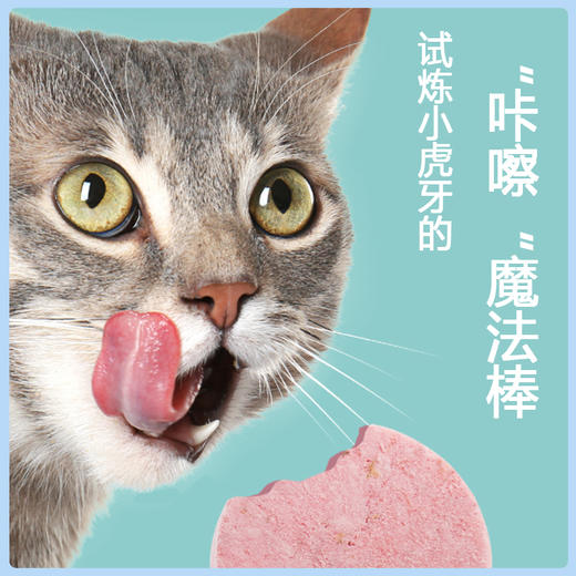 朗诺 棒棒糖系列 猫零食14g（10支/袋） 商品图4