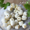 生态糯莲子（成都仓库-顺丰快递） | 310g/袋，来自安徽宣城，生产者：陈华丽【合作生产，公平贸易】 商品缩略图2