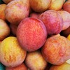 大红袍蜜李 商品缩略图4