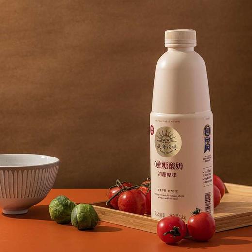 美丽市场超市 北海牧场0蔗糖酸奶清甜原味风味发酵乳1kg 商品图0