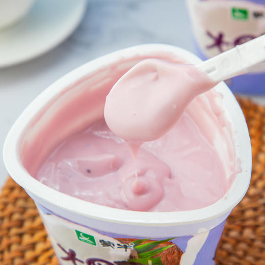 蒙牛260g桑葚椰果大果粒酸奶