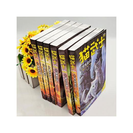 猫武士四部曲(1-6) 商品图1