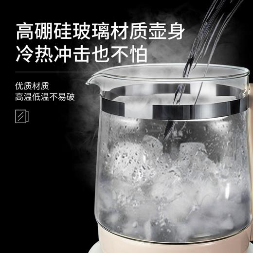 邻鹿养生壶LR017家用办公室多功能小型煮茶器玻璃烧水壶 商品图4