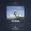「爱好者直选31款」Scabal Bliss 福佑系列全麻衬单西 商品缩略图0