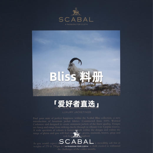 「爱好者直选31款」Scabal Bliss 福佑系列全麻衬单西 商品图0