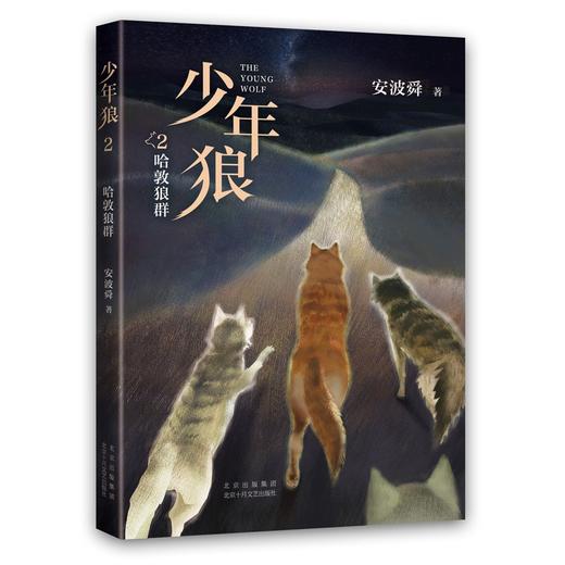少年狼.2--哈敦狼群 商品图0