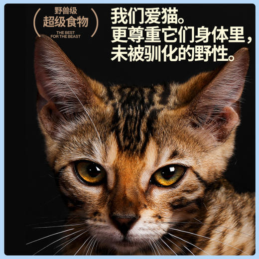 尾巴生活raw8:1:1 生骨肉主食罐 成幼猫罐 4罐组合装主食罐 170g 商品图2