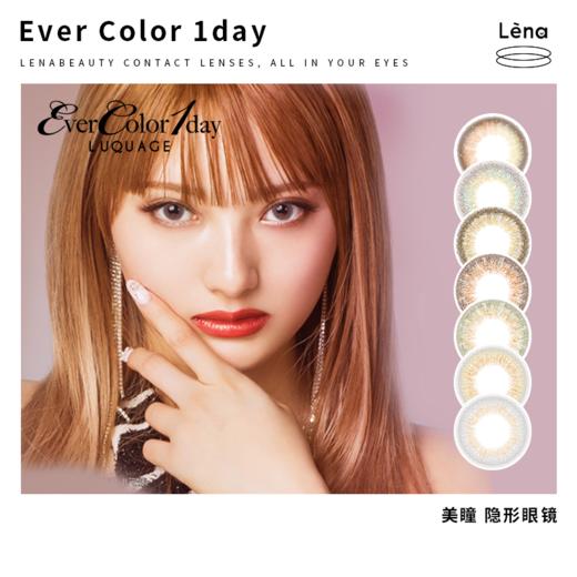 保税仓发货evercolor日抛10枚盒