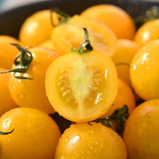 九度甜黄番茄 约500g/盒 商品图3