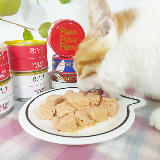 尾巴生活raw8:1:1 生骨肉主食罐 成幼猫罐 4罐组合装主食罐 170g 商品图9