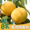 蒙阴黄锦绣黄桃5斤（外皮似锦绣、果汁甜如蜜） 商品缩略图0