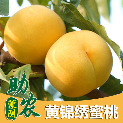 蒙阴黄锦绣黄桃5斤（外皮似锦绣、果汁甜如蜜） 商品图0