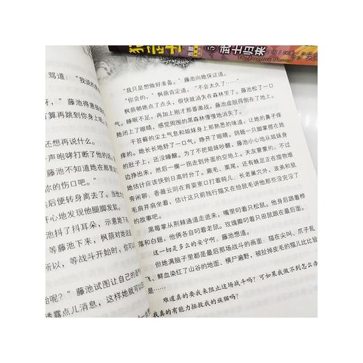 猫武士四部曲(1-6) 商品图2