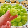 【季节限定】象山果园直发 晴王阳光玫瑰葡萄 3斤/5斤 商品缩略图1