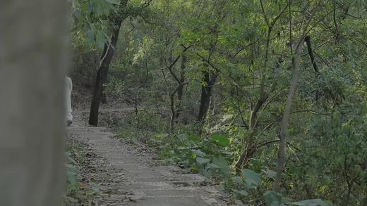 05第四式 商品图0