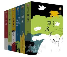国际安徒生奖曹文轩文集 全6册