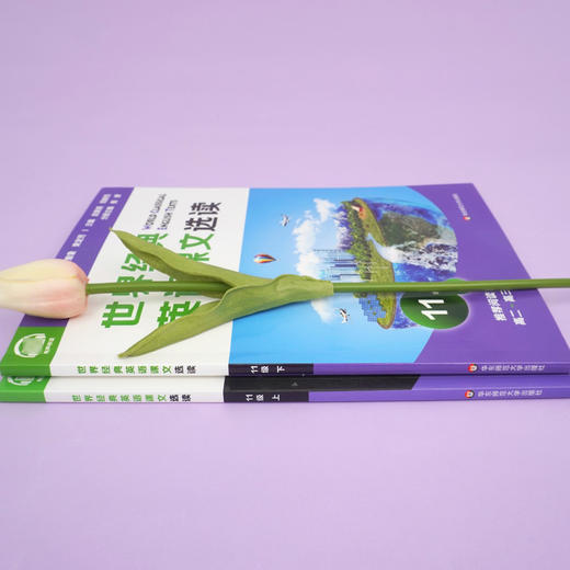 世界经典英语课文选读11级 上+下套装2册 提升语言应用能力 课标六大要素三大主题 推荐阅读高二~高三 商品图3