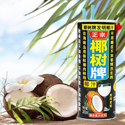 椰树 椰汁（植物蛋白饮料） 245ml 商品图2