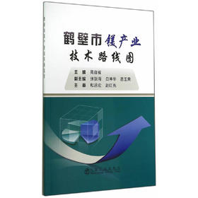 鹤壁市镁产业技术路线图/高自省