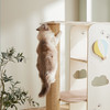 CatS猫家具 星辰大海爬架 想去旅行系列 剑麻抓板猫窝猫玩具包邮 商品缩略图2