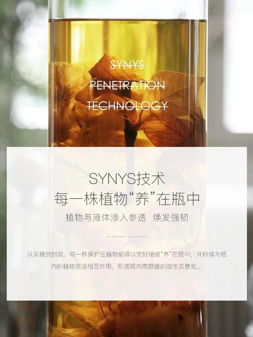 【授权商品】野玫瑰果染烫滋养护发素缔丝初源固色修复无硅油护发乳意大利进口250ml 商品图1