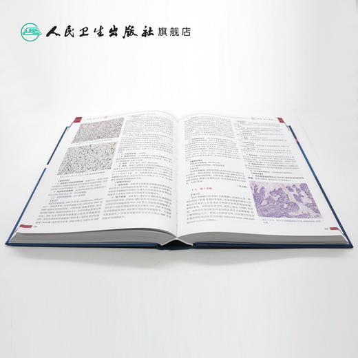 临床病理诊断与鉴别诊断儿童疾病 商品图4