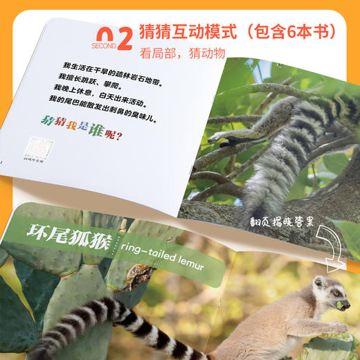 动物认知小百科（共24册）（赠音频）2-6岁百科全书亲子阅读 商品图4