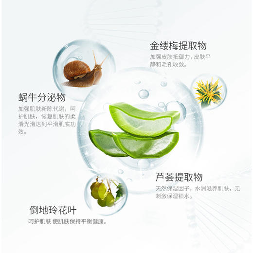 【中欧班列精选】德妃高浓缩精华/德妃修复安瓶精华液/高浓度保湿原液50ml 商品图1