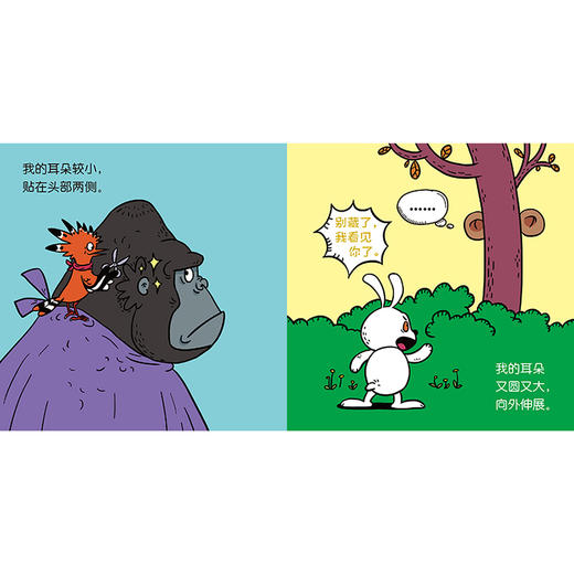 【2-6岁动物科普启蒙绘本】我能分得清（共18册） 商品图12