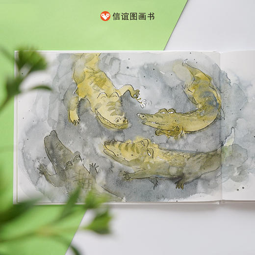 信谊 图画书奖系列：小鸟和鳄鱼（下单送限量） 商品图4