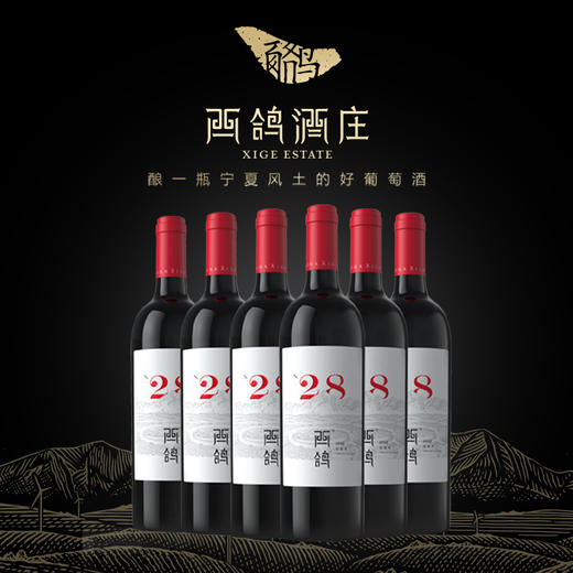 西鸽N28干红葡萄酒 商品图6