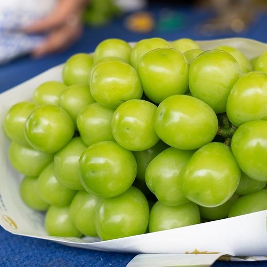 阳光玫瑰葡萄 商品图4