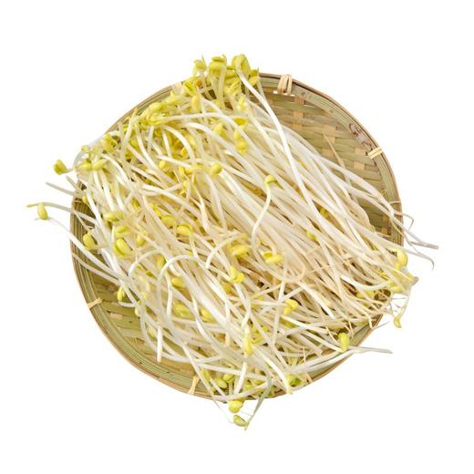 思诺奇黄豆芽 约250g/盒 商品图1