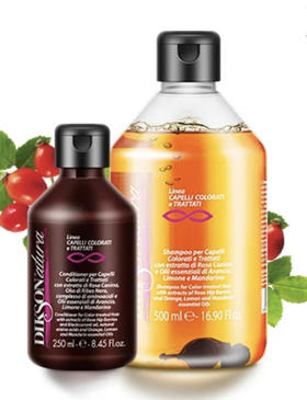 【授权商品】野玫瑰果染烫后修护洗发护发套装 缔丝初源Diksonatura意大利进口固色套装500ml+250ml