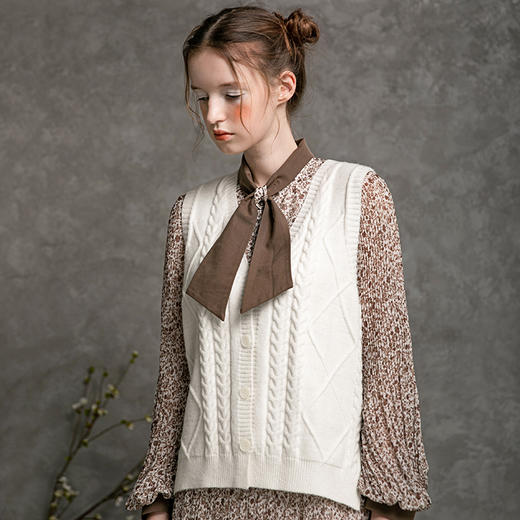 famecoco范可儿套装裙两件套秋雪纺连衣裙马甲复古时尚套装D216EA300 商品图3