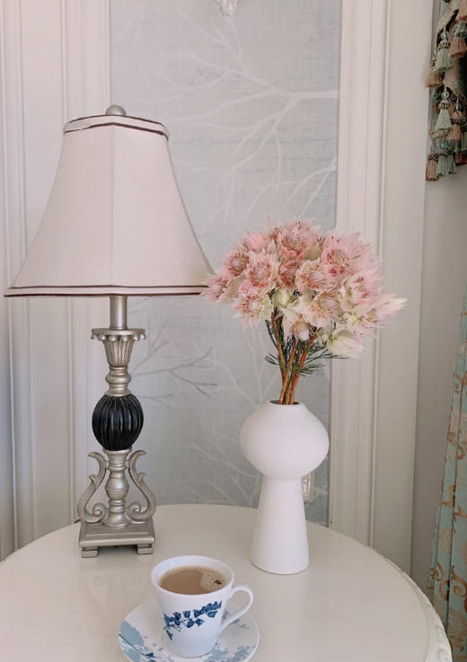 【新娘花·高端花材】5支/份 花期超长耐养护 花瓣似禅翼 仙气十足 可做干花 商品图7